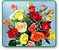 Assorted Roses (two dozen)
