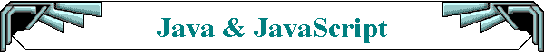 Java & JavaScript